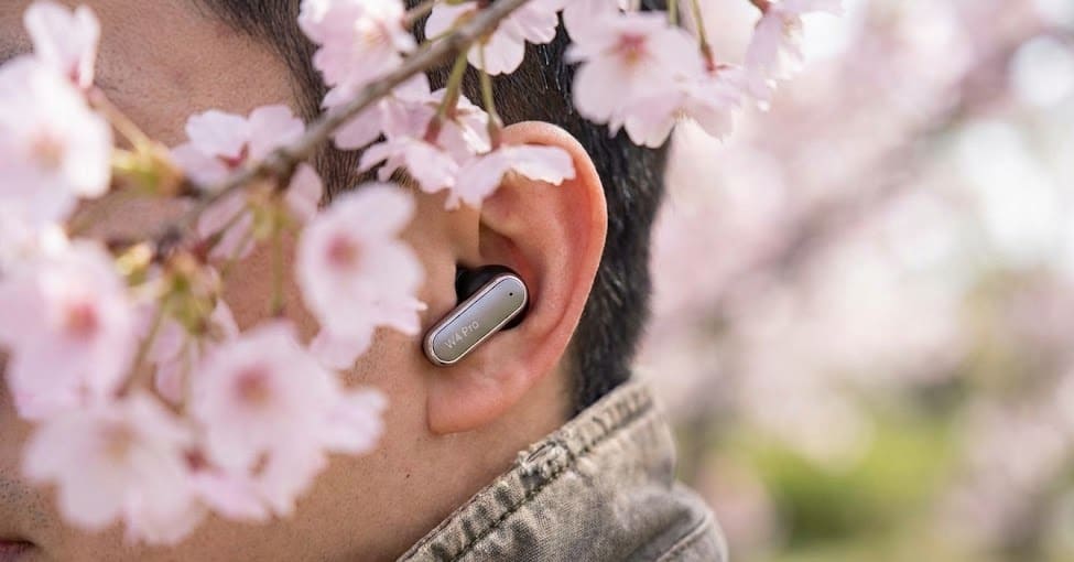 Translation technologies for mental health 3 Translation technologies for mental health being used in a Japanese Zen garden.