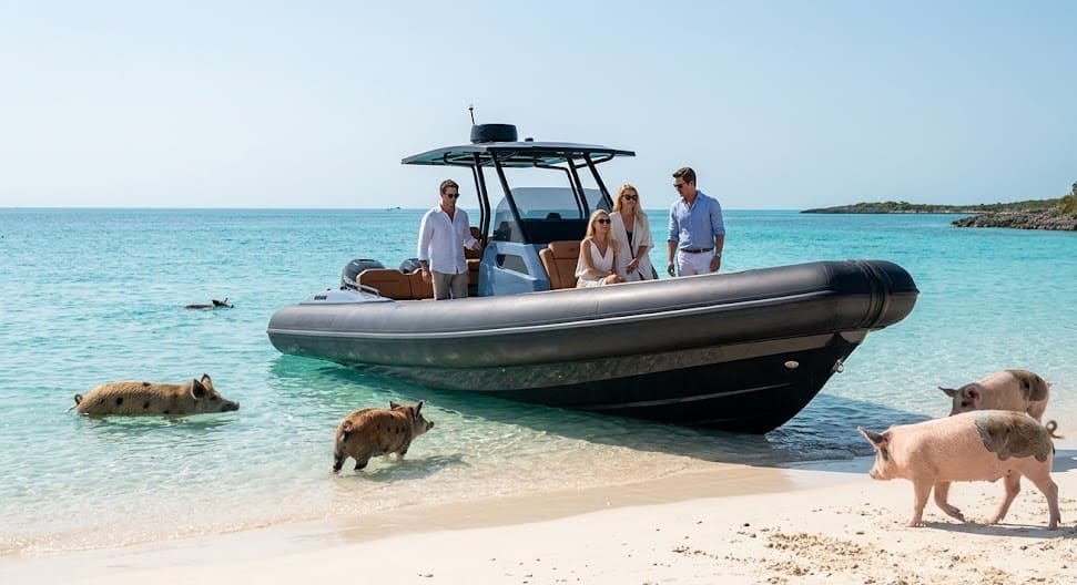 Bahams Lagoon560 6