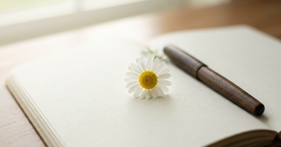 Overthinking and Anxiety: Breaking Free from the Symptom of Worry and Thought 4 anxiety 2