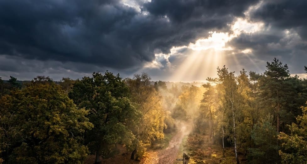 Overthinking and Anxiety: Breaking Free from the Symptom of Worry and Thought 5 anxiety 3